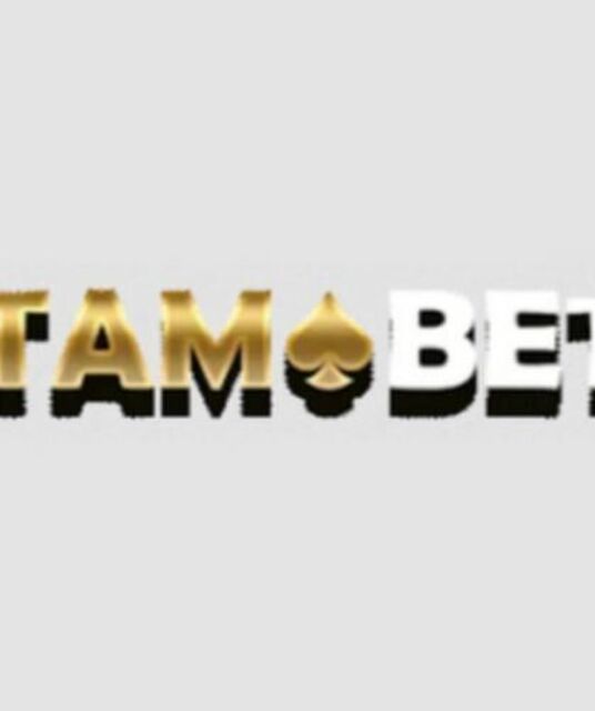 avatar Tamabet Casino - Big Win On Our Platform!