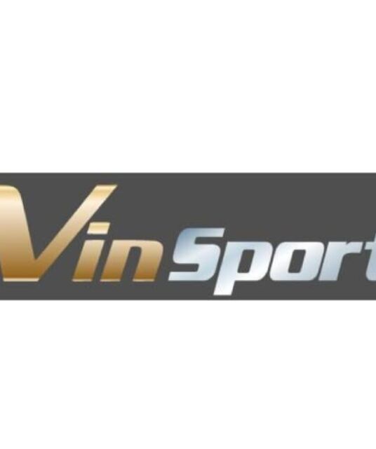 avatar Vinsport