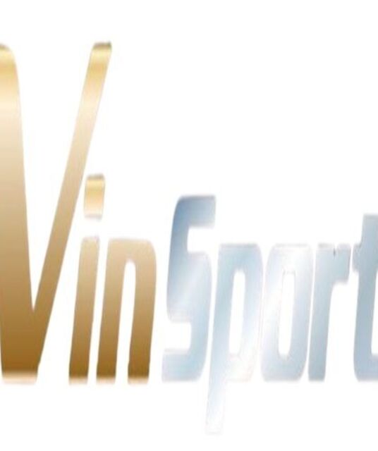 avatar Vinsport