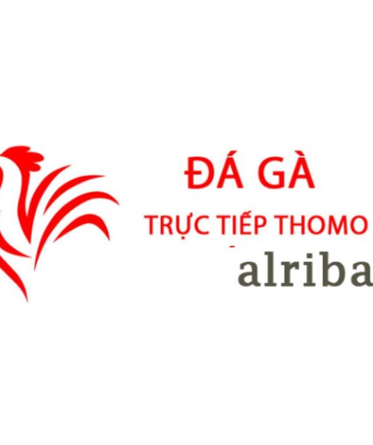 avatar Đá Gà Trực Tiếp Thomo Hôm Nay